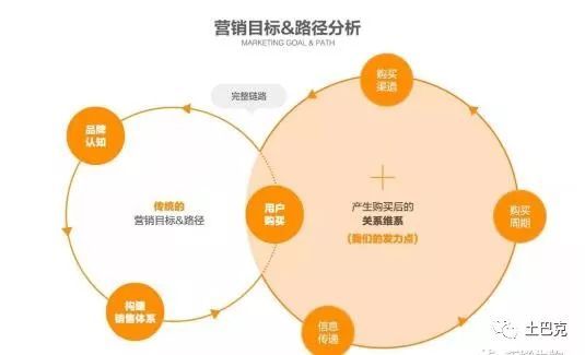 互聯網+合作社 新型農業開啟致富新篇章，數據處理服務成為關鍵引擎